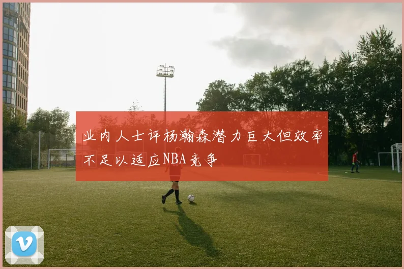 业内人士评杨瀚森潜力巨大但效率不足以适应NBA竞争